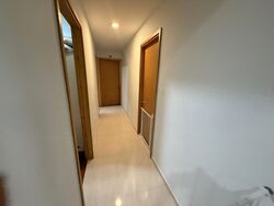 A Treasure Trove (D19), Condominium #565695741